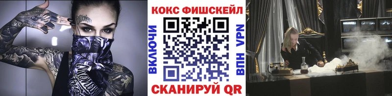 Кокаин Fish Scale  купить закладку  Ясногорск 