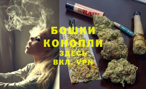 эйфоретик Белокуриха