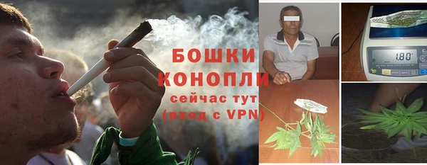 прущие грибы Богородск