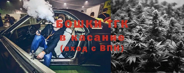 эйфоретик Белокуриха