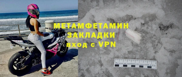 прущие грибы Богородск