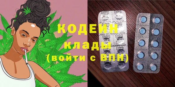 прущие грибы Богородск