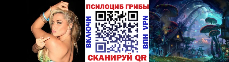 где продают наркотики  Ясногорск  Псилоцибиновые грибы прущие грибы 